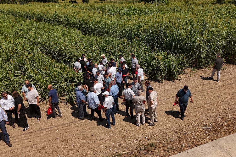 ALU-Yesil-Enerji-Listeleme